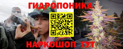 PSILOCYBIN Ставрополь